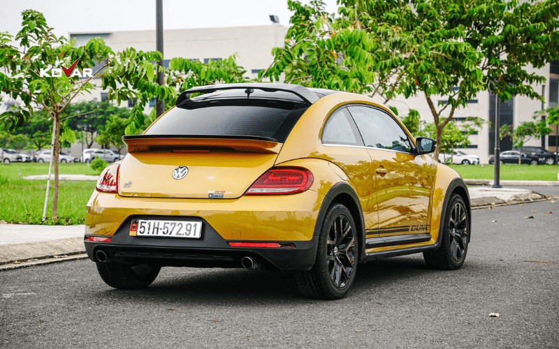 duoi-xe-Volkswagen-Beetle-Dune