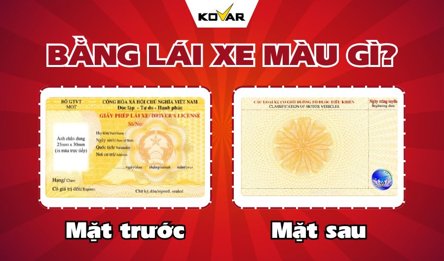 Bằng lái xe màu gì? Những điều cần biết về GPLX tại Việt Nam