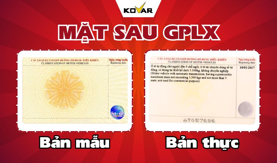 Bằng lái xe màu gì? Đặc điểm mặt sau của giấy phép lái xe?