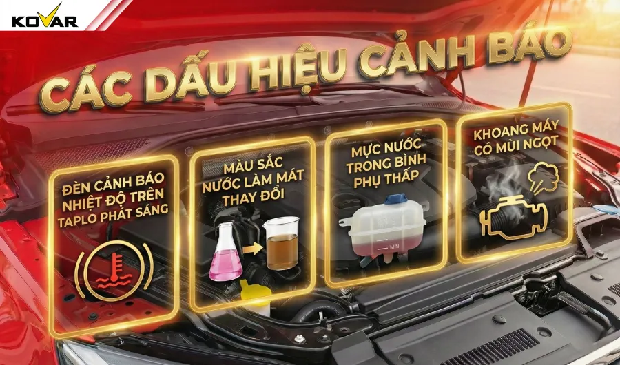 Các dấu hiệu cảnh báo